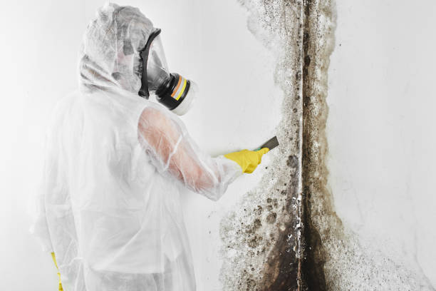 Best Mold Testing  in Farmersville, TX