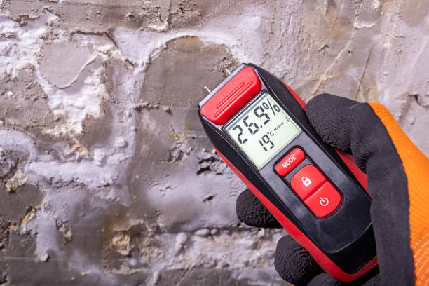 Best Affordable Mold Removal  in Farmersville, TX