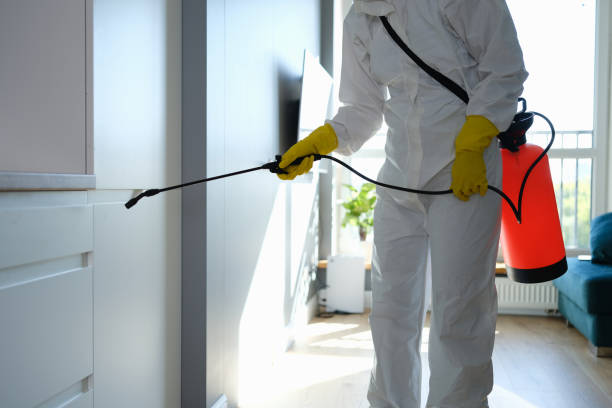 Best Residential Mold Removal  in Farmersville, TX