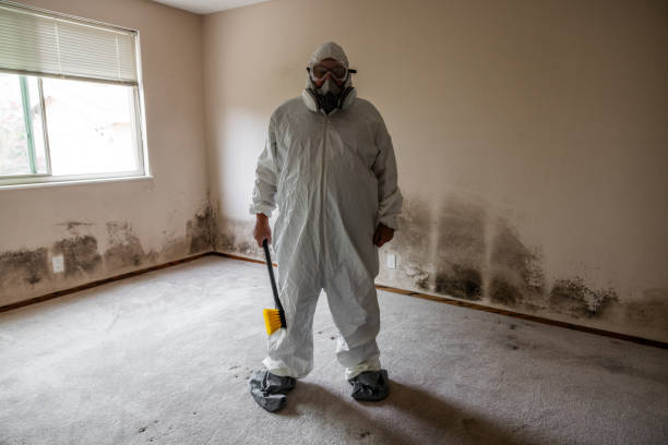 Best Mold Testing  in Farmersville, TX
