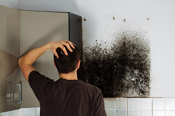 Best Water Damage Restoration  in Farmersville, TX
